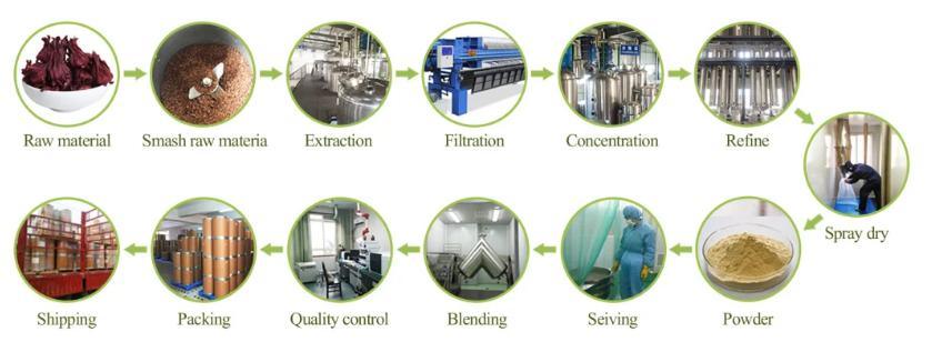 Extracto de hierba de eufrasia en polvo de alta calidad 10: 1 Extracto de eufrasia officinalis PE