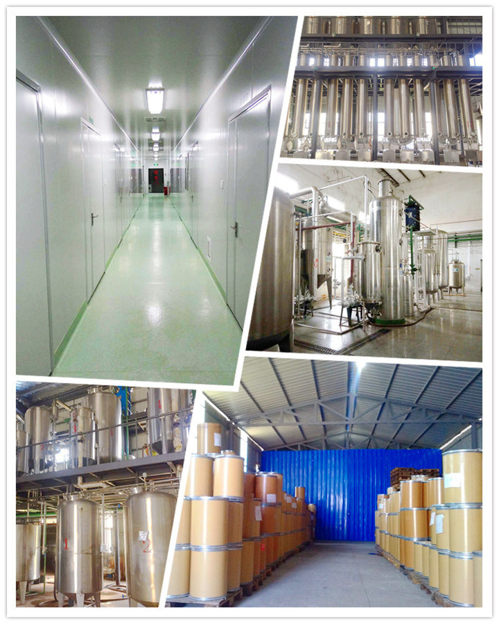 Extracto en polvo de Areca Catechu Extracto de nuez de Areca 4:1;10:1;20: 1