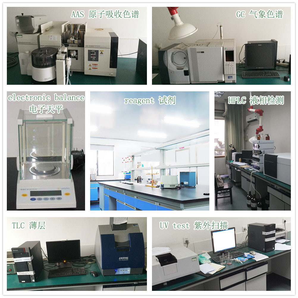 Extracto puro de Lysimachia Christinae Hance del 100% kosher de ISO22000 Halhal