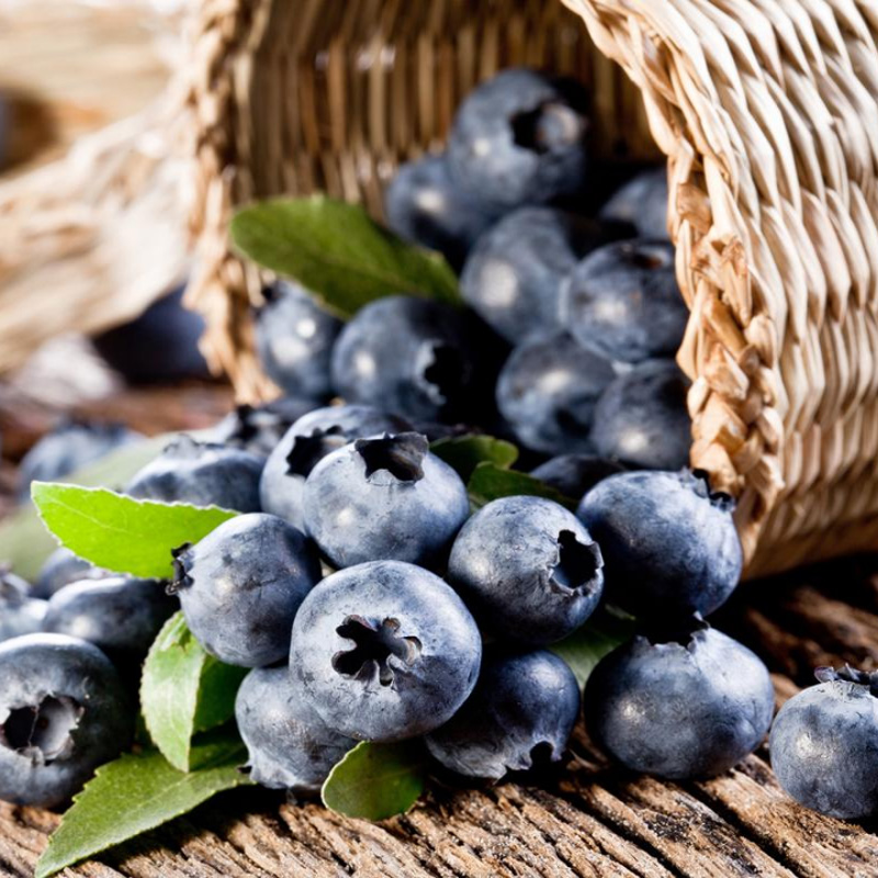 Blueberry Extract