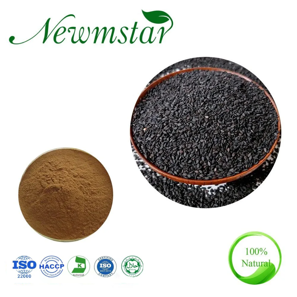 Semen Sesami Nigrum Powder Extract Black Sesame Extract 10 1 20 1 Sesamin