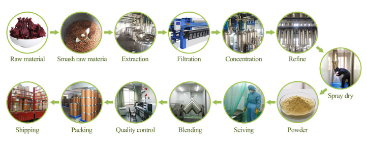 Extracto de hongo Shii-Take que proporciona inmunidad