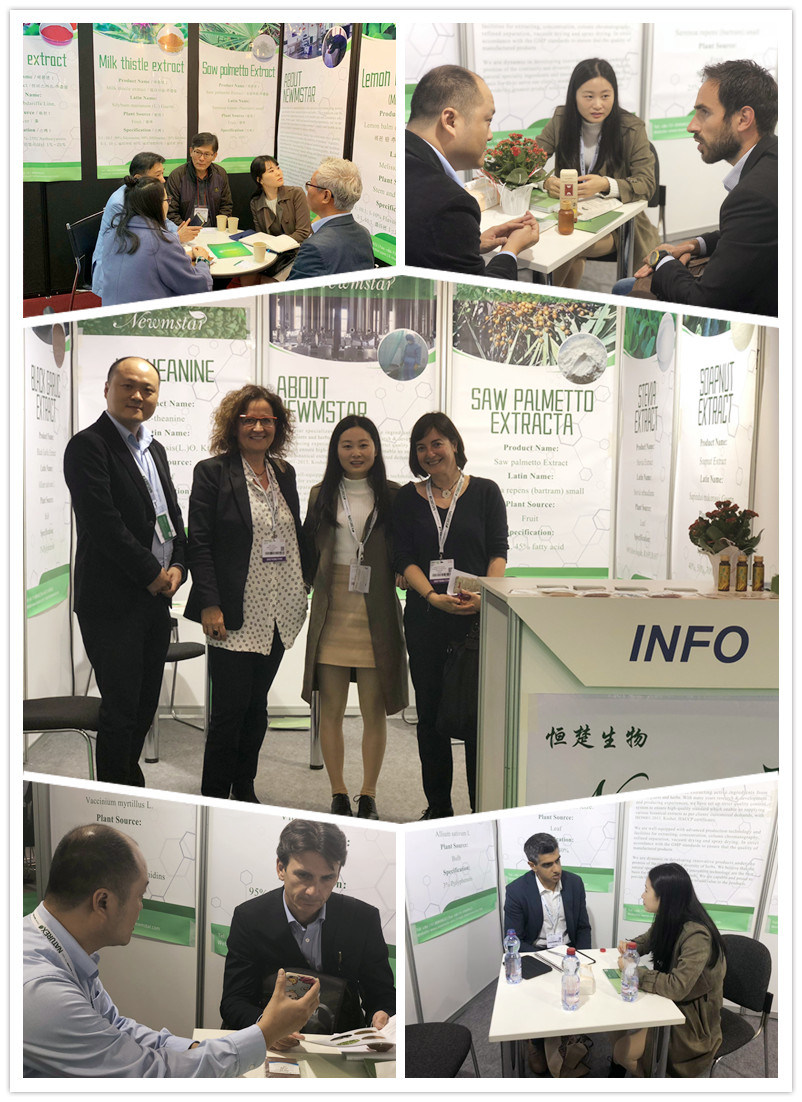 Polvo de extracto de t&eacute; Pu'er instant&aacute;neo puro 100% soluble en agua