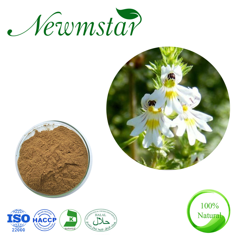 Extracto de hierba de eufrasia en polvo de alta calidad 10: 1 Extracto de eufrasia officinalis PE