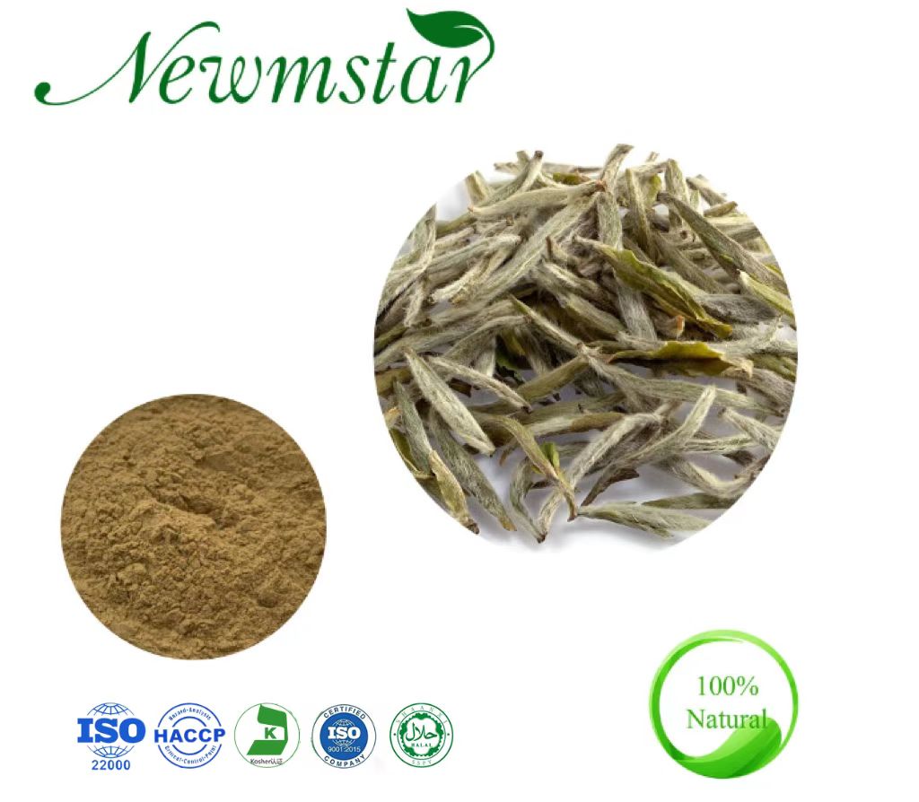 Natural Instant White Tea Powder Pure Tea Extract