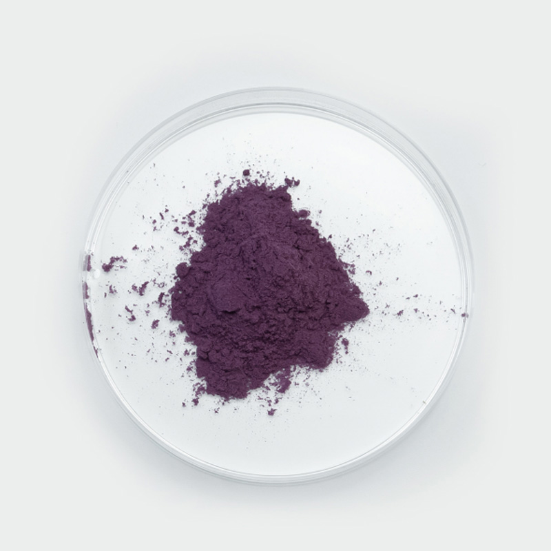 Blueberry Extract