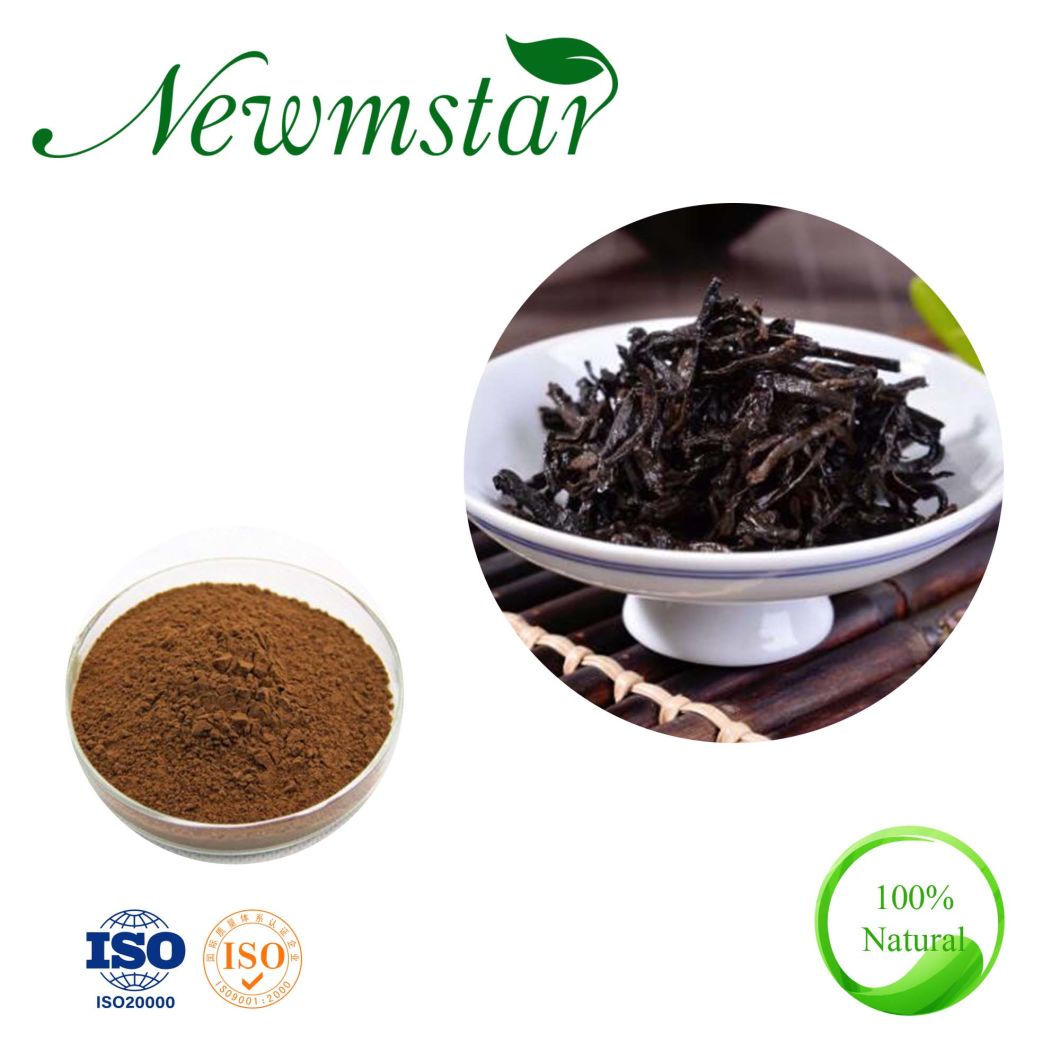 Polvo de extracto de t&eacute; Pu'er instant&aacute;neo puro 100% soluble en agua